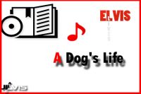 a-dogs-life