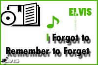 I-Forgot-to-Remember-to-Forget