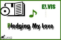 Pledging-My-Love