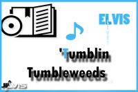 Tumblin’ Tumbleweeds